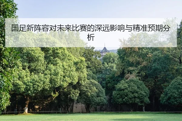 国足新阵容对未来比赛的深远影响与精准预期分析